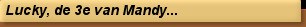 Lucky, de 3e van Mandy...