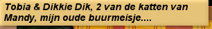 Tobia & Dikkie Dik, 2 van de katten van Mandy, mijn oude buurmeisje....