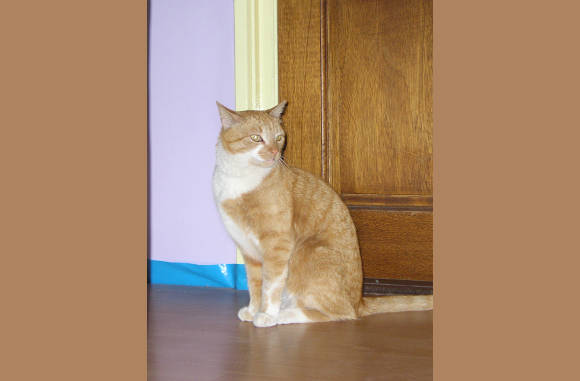 Piebe, deze is ook van hun zoon...