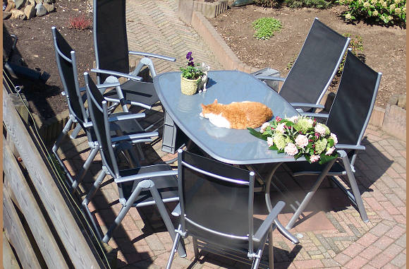 Flip, de buurkat, pakt de eerste zonnestralen op de nieuwe tuintafel van zijn personeel...