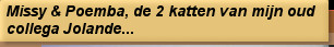 Missy & Poemba, de 2 katten van mijn oud collega Jolande...